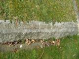 image of grave number 489660
